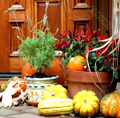 Vegetable Still Life