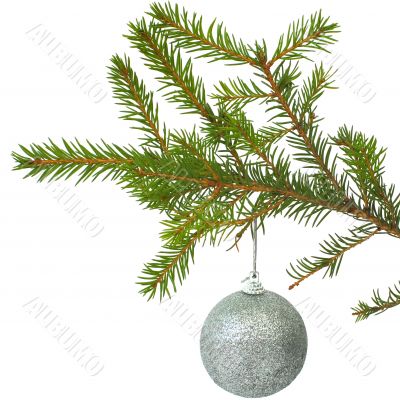 Cristmas-tree ball