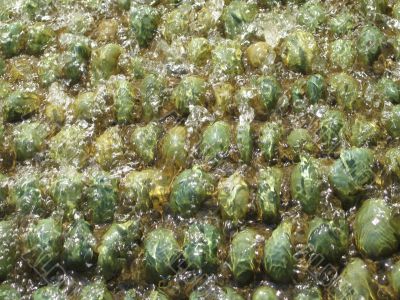 green pebbles under water