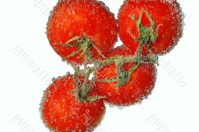 tomato,bubbles,juicy,swee t,red