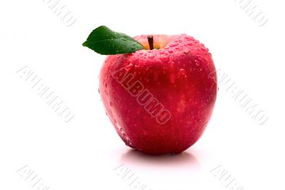 Red apple