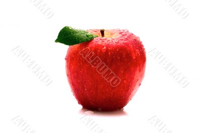 Red apple
