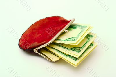 Purse full of dollars