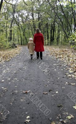 forest walk