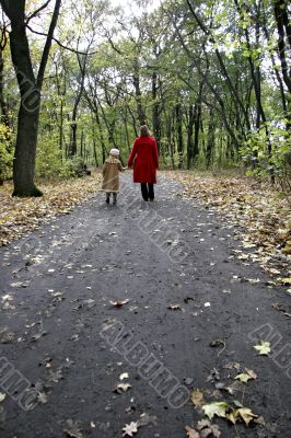 forest walk