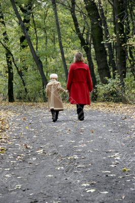 forest walk
