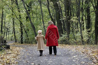 forest walk