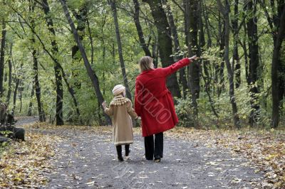 forest walk