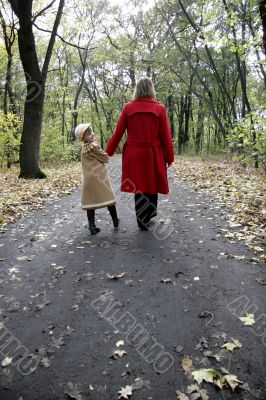 forest walk