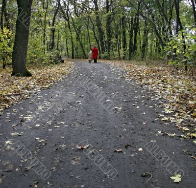 forest walk