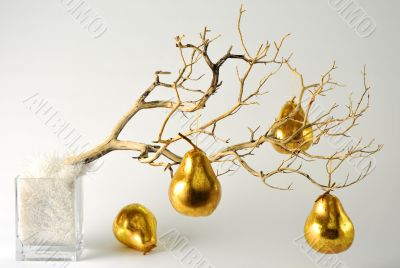 Golden Pears in Warm