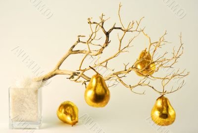 Golden Pears in Warmer
