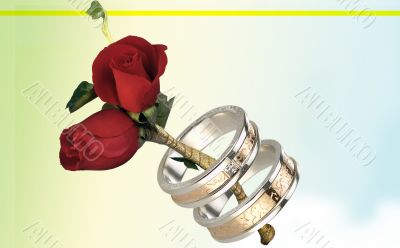 Rose and rings