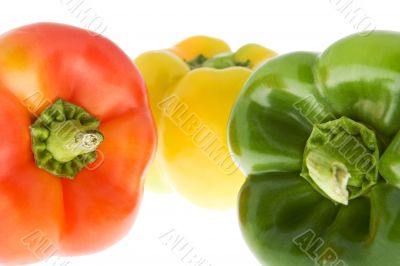 Peppers in three colors