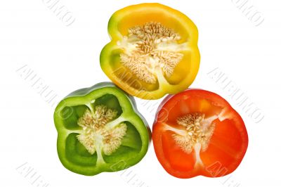 Peppers in three colors