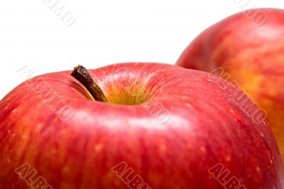 macro red apples