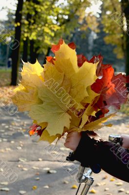Autumn bouquet.