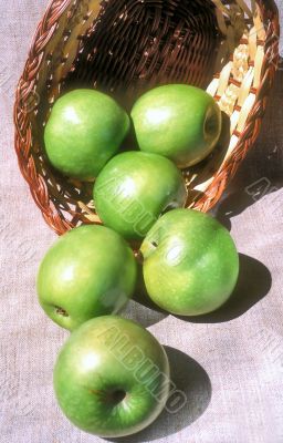 Apples and the basket on canvas