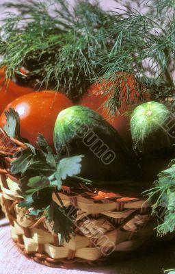 Basket with cucumbers and tomatoes