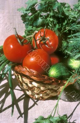 Basket with vegetable
