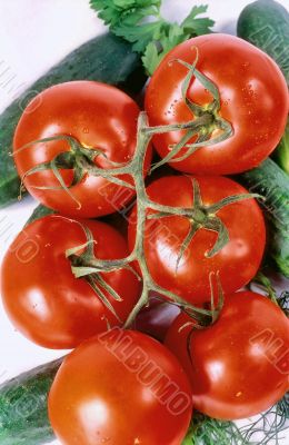 Tomato branch vertical