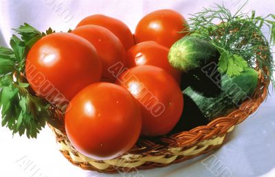 Tomatoes and cucumbers