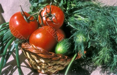 Vegetable and potherbs