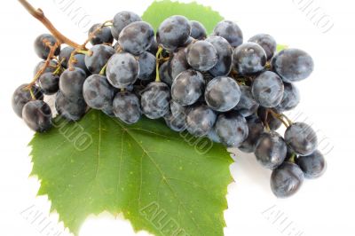 grape