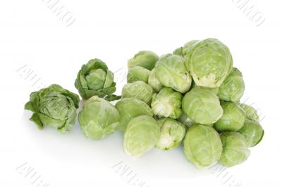 Brussels cabbage
