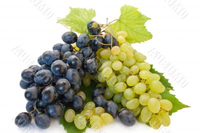 grape