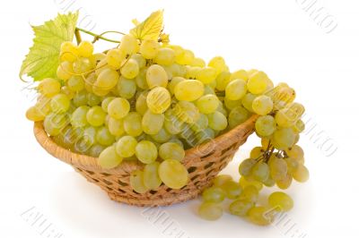grape in a basket