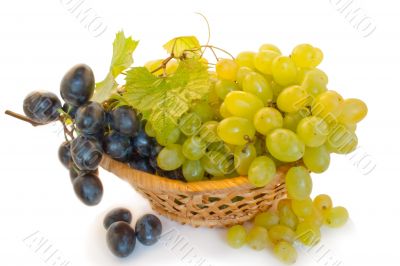 grape in a basket