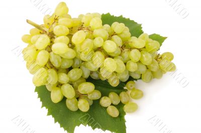 grape
