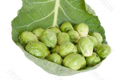 Brussels cabbage