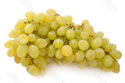 grape
