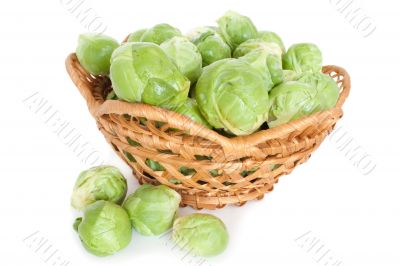 Brussels cabbage