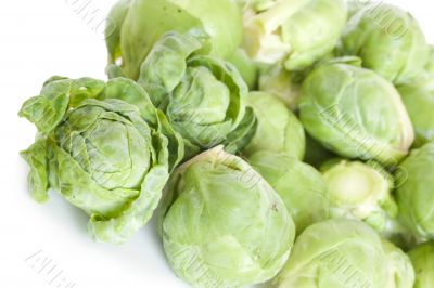 Brussels cabbage