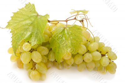 grape