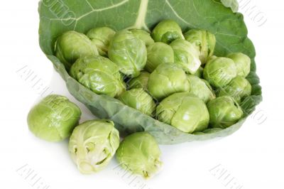 Brussels cabbage