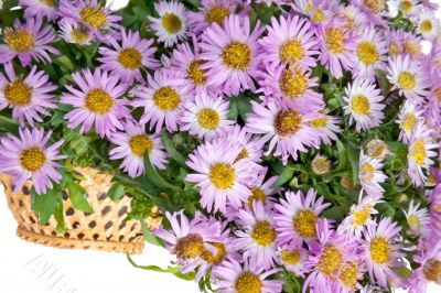 flower in a basket