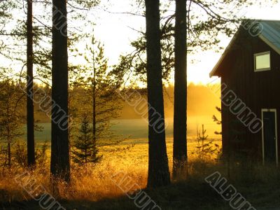 House, forest, sunset