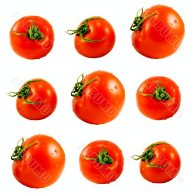 tomatoes