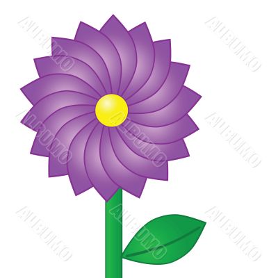 Purple flower