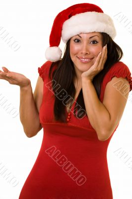 Cute lady santa