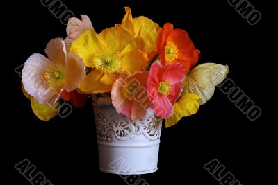 Still Life With Poppies