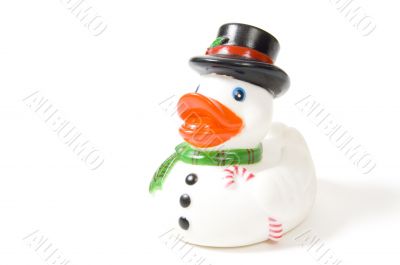 snowdoll duck