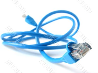 network cable