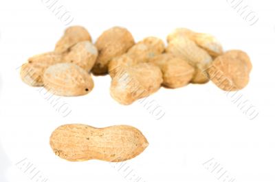 peanuts