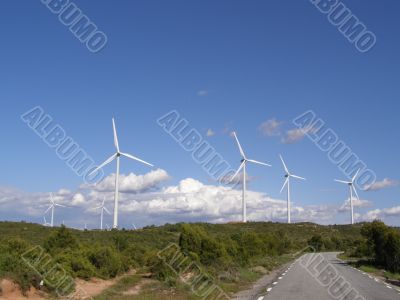 Wind Mill Landscape