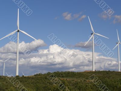 Wind Mill Landscape